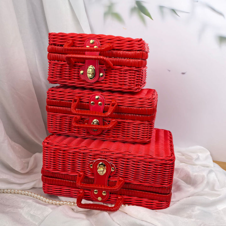 Women braided cosmetic and storage case Stornfield