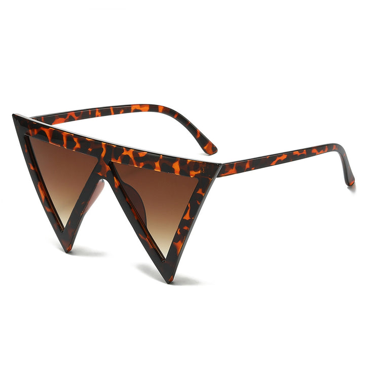 Bold Triangular Frame Sunglasses Stornfield