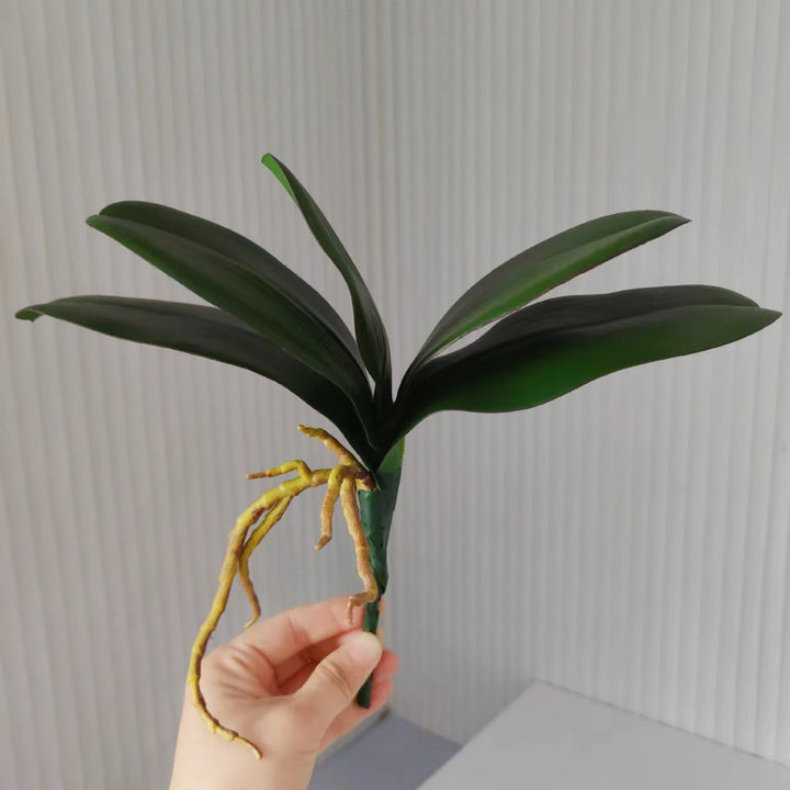 Realistic Orchid Leaf Arrangement