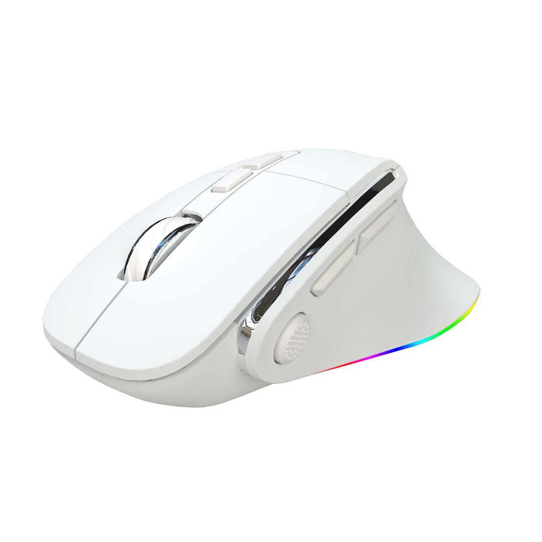 Wireless Ergonomic Gaming Mouse Stornfield