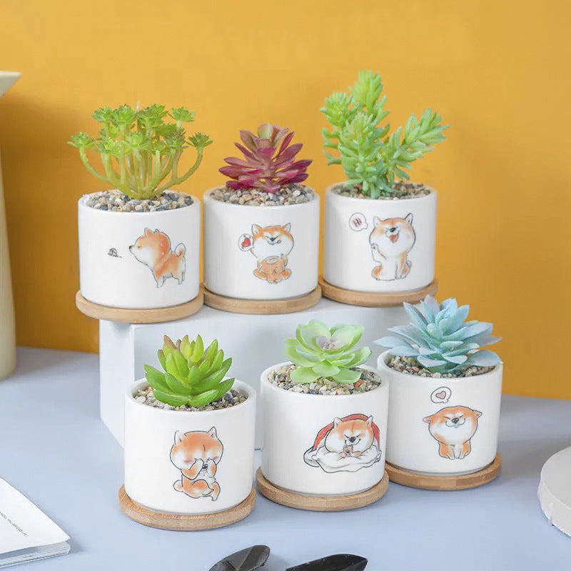 Cute Animal-Themed Succulent Planter Stornfeild