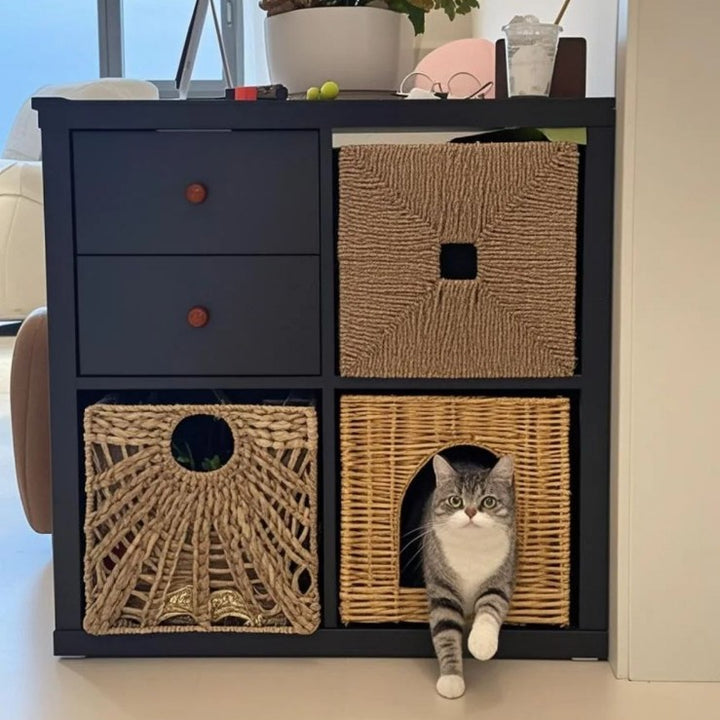 Cozy Woven Pet Storage Basket Stornfield