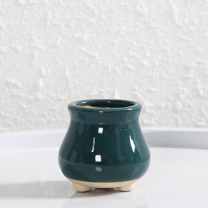 Miniature Decorative Flower Pot Stornfeild