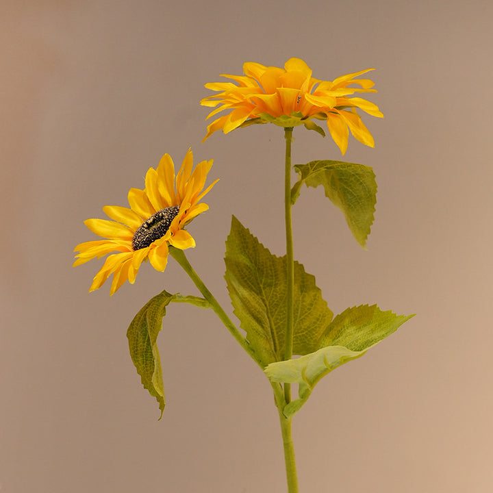 Decorative Sunflower Stornfield