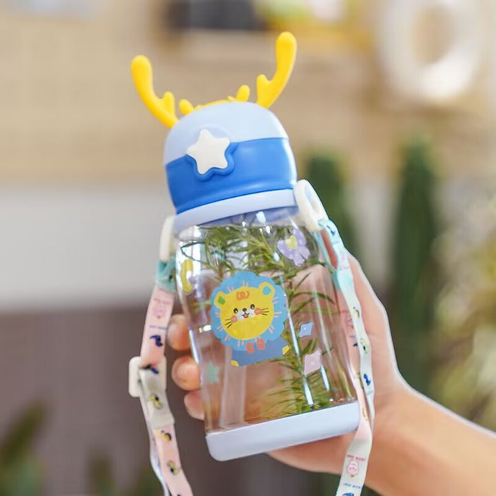 Women Glass Drinking Bottle with Secure Lid Stornfield