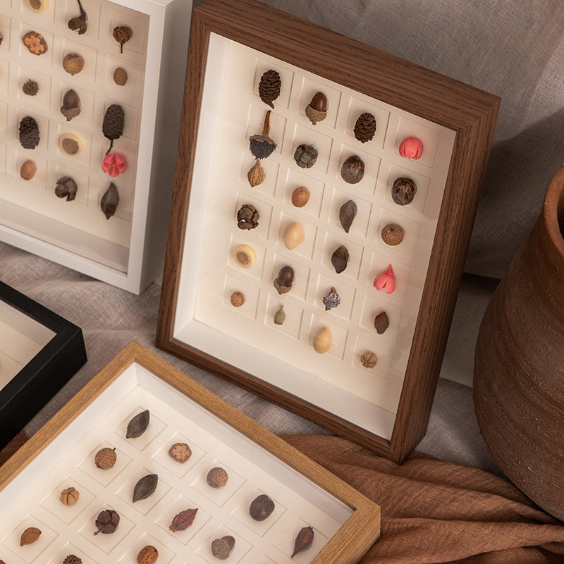 Botanical Specimen Display Frame