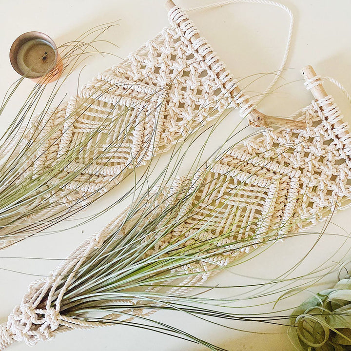 Macrame Wall Hanging Plant Holder Stornfield