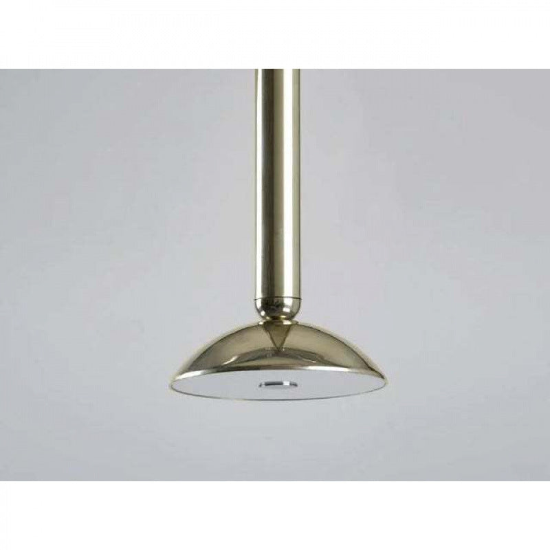 Contemporary Metallic Pendant Light