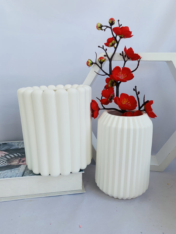 Decorative Plant Stornfeild