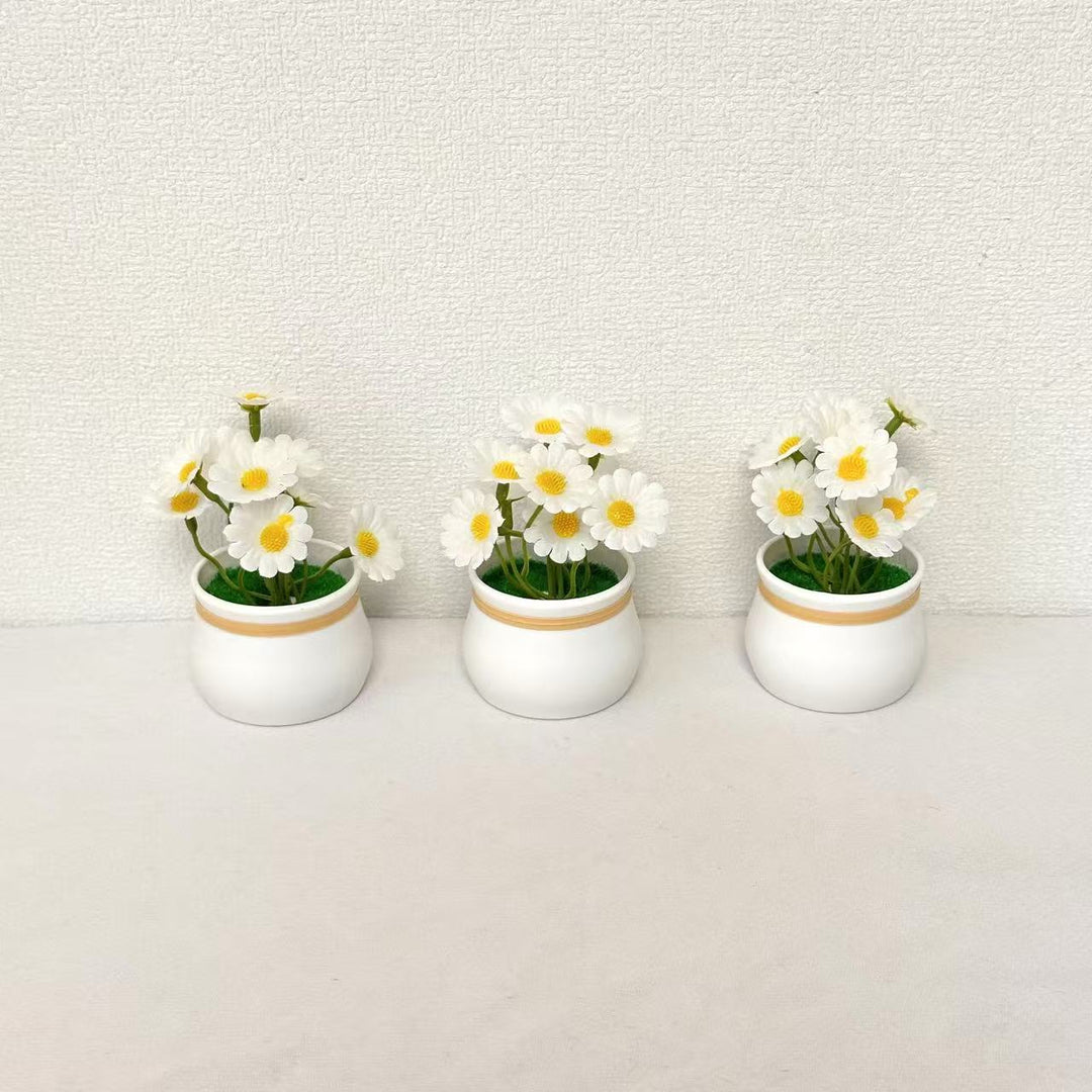 Decorative Miniature Daisy Pots