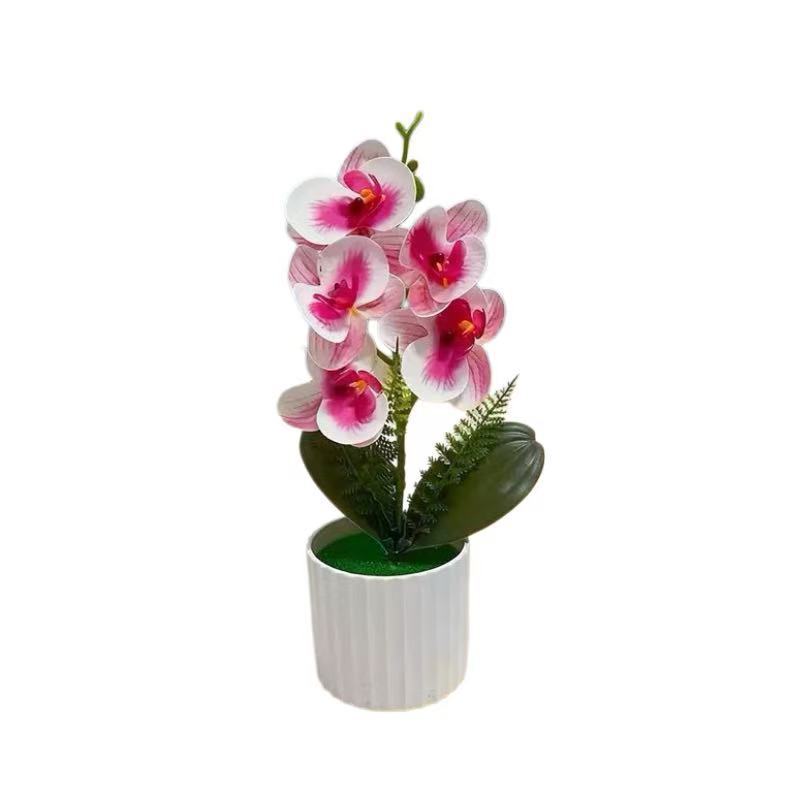Decorative Orchid Plant Arrangement 1790480742 for Decor