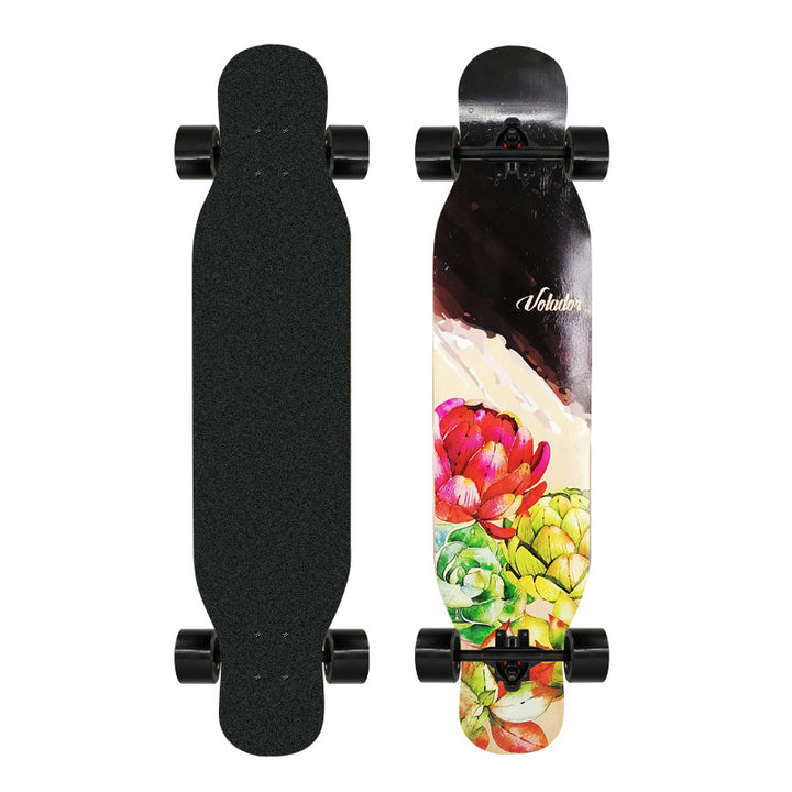 Artistic Lion-Emblazoned Longboard Stornfield