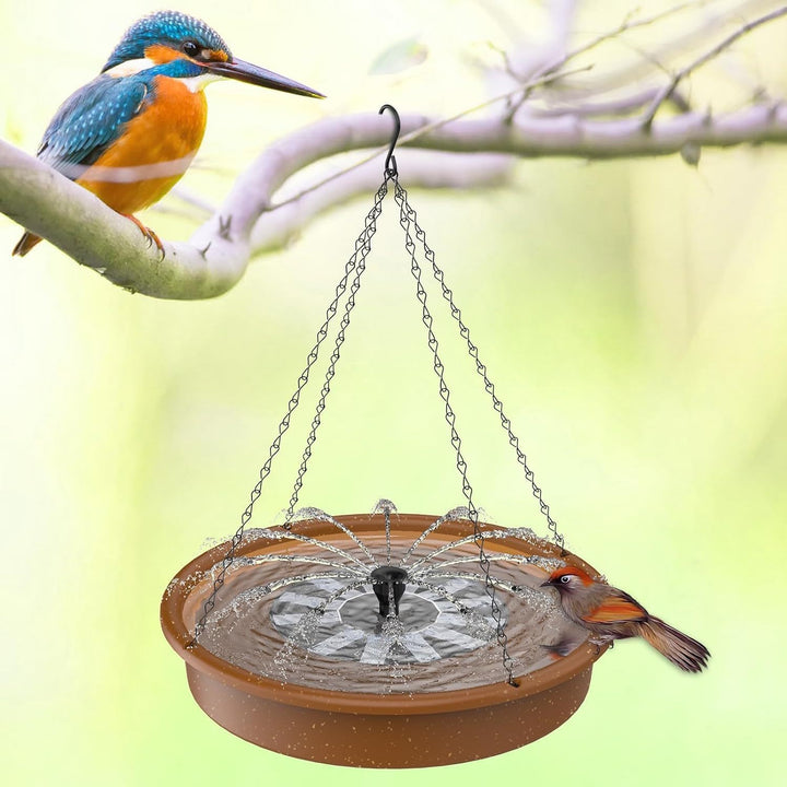 Bird Bath and Feeder Stornfield