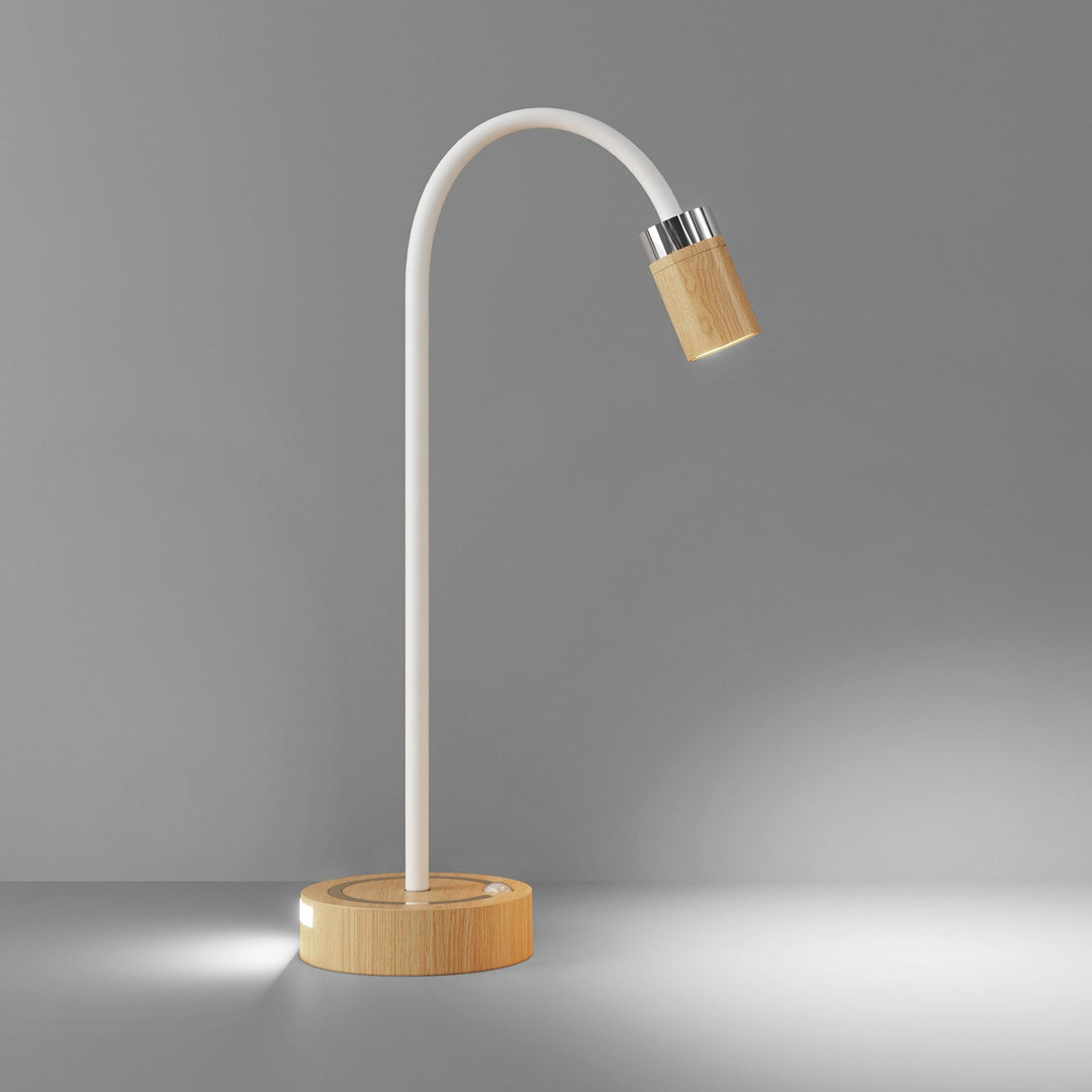 Flexible LED Desk Lamp