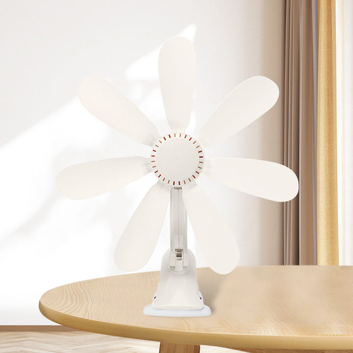 Ladies Table Fan Stornfield
