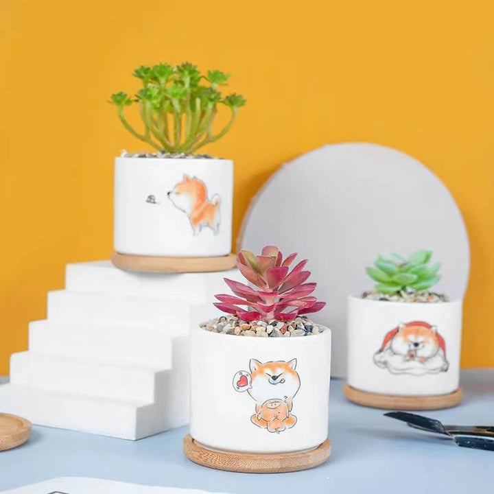 Cute Animal-Themed Succulent Planter Stornfeild