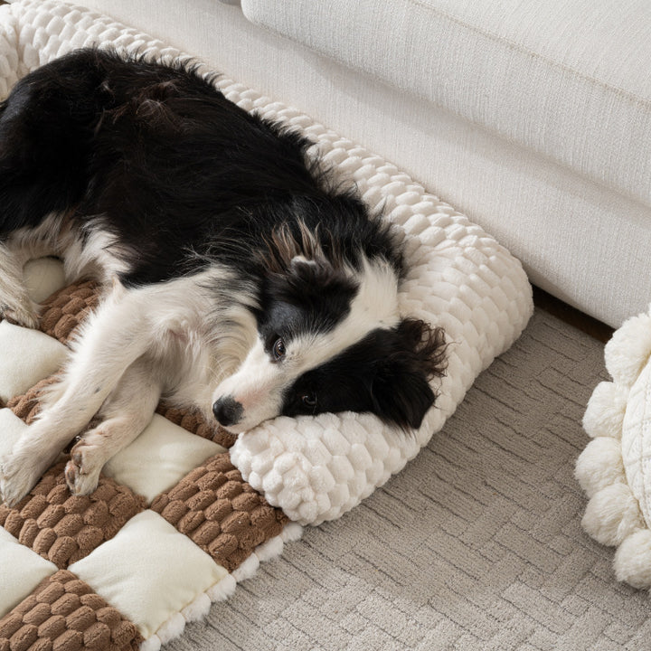 Cozy Orthopedic  Cushion   Dog Bed