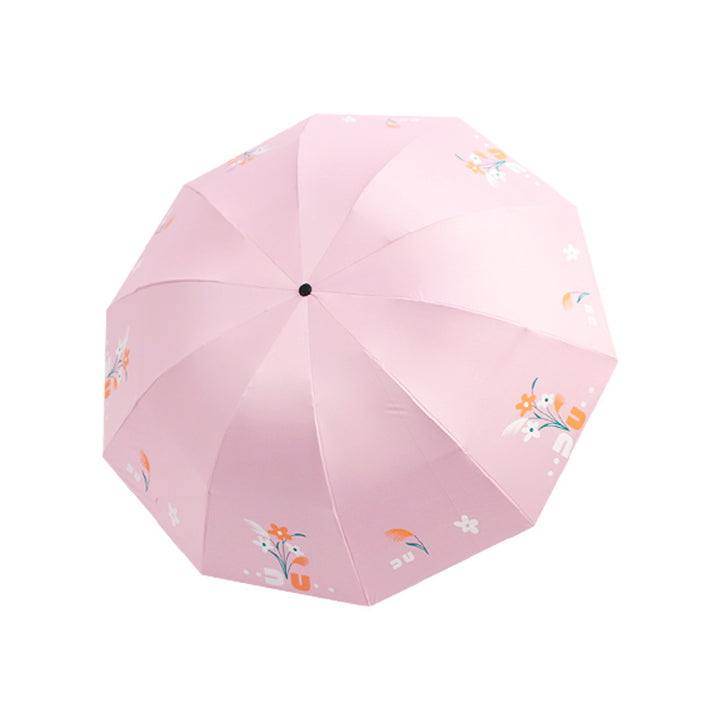 Ladies Umbrella Stornfield