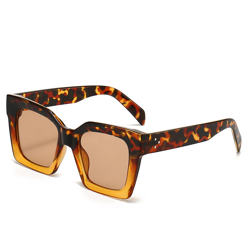 Women's Fashion Sunglasses in Striking Turtle Design Stornfield