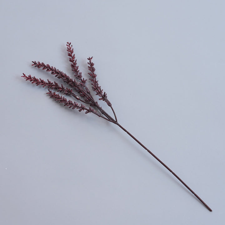 Elegant Dried Botanical Stem