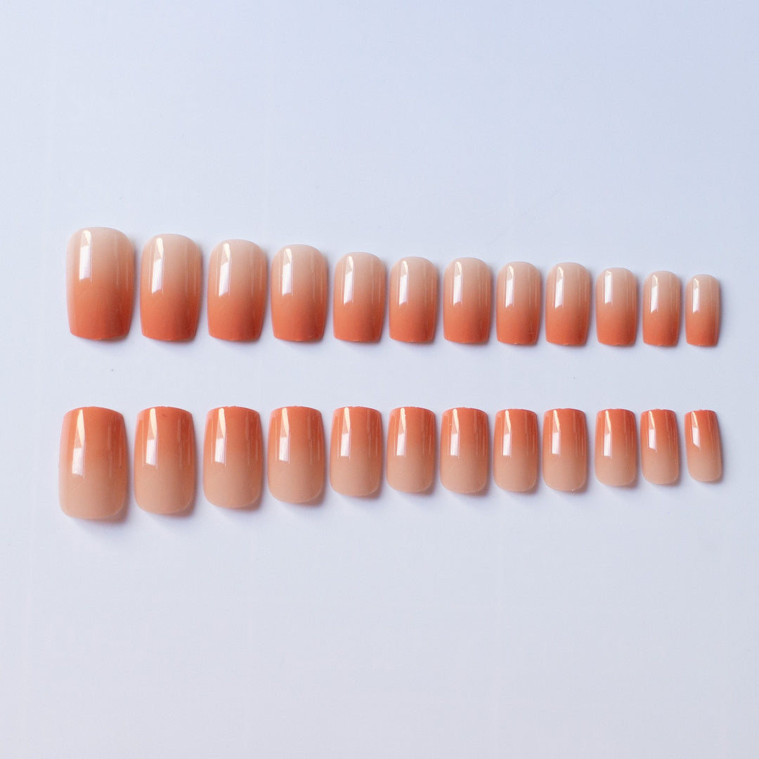 Glossy Natural Finish Nail Art Kit