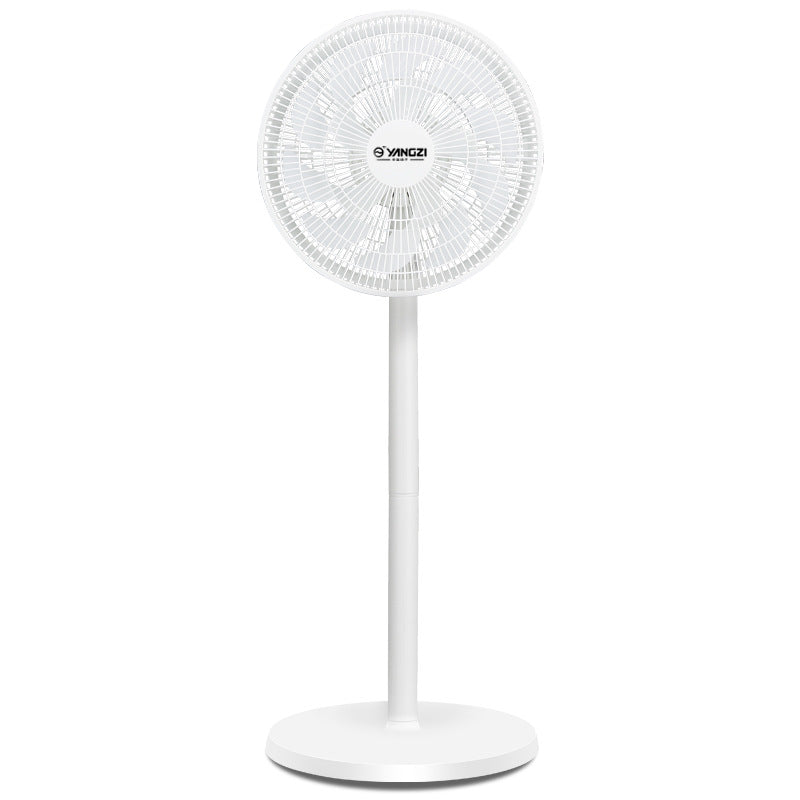 Ladies Stand Fan Stornfield