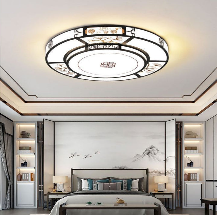 Modern Decorative Ceiling Light
