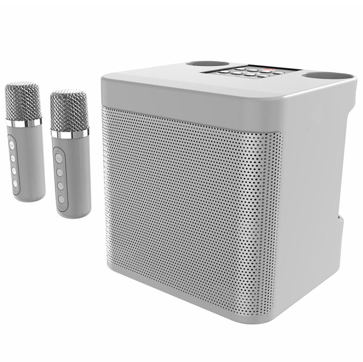 Karaoke Speaker System Stornfield