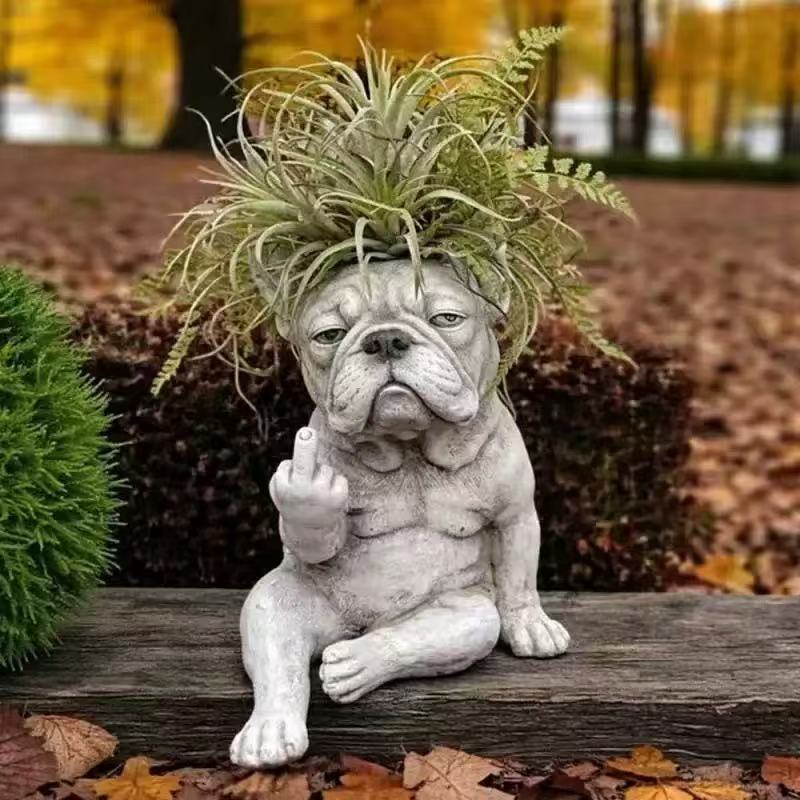 Decorative Dog Plant Stornfield