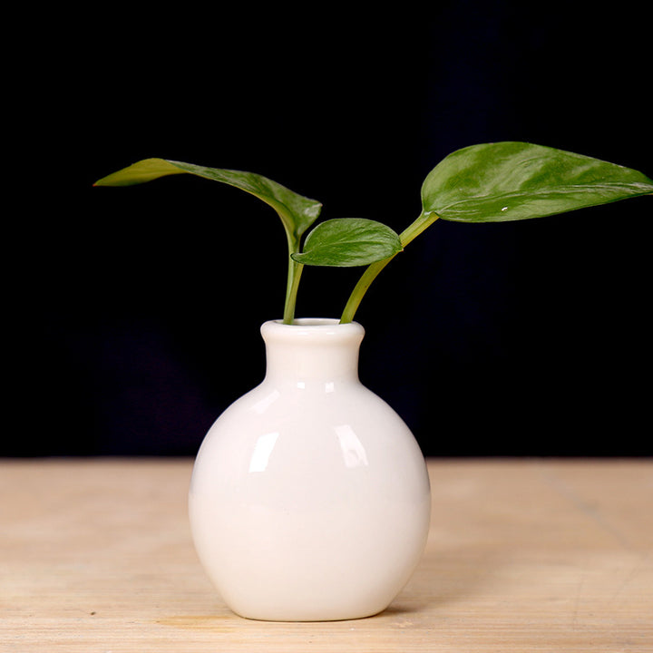 Miniature Ceramic Plant Holder Stornfeild