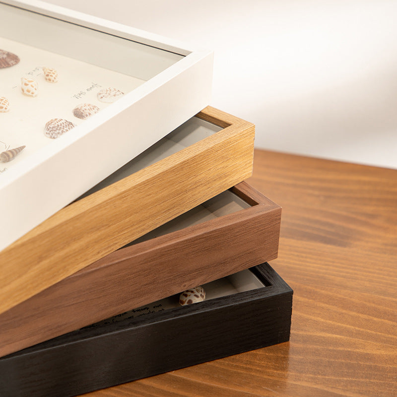 Decorative Shells Display Frame for Home