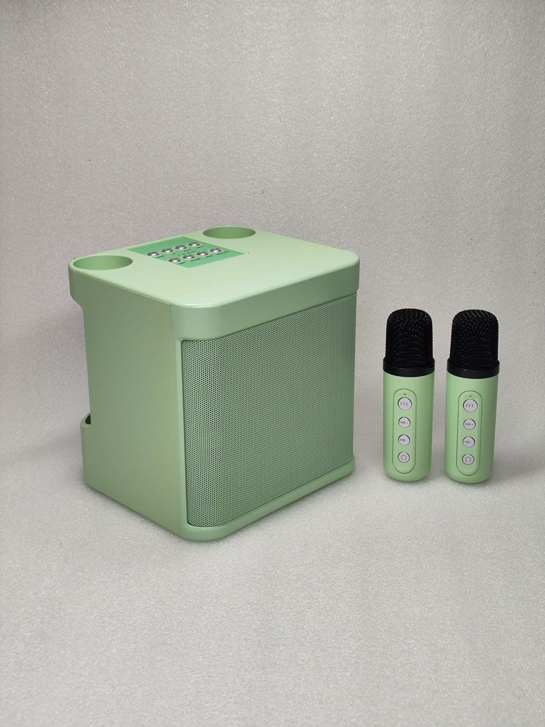Portable Karaoke Speaker System Stornfield