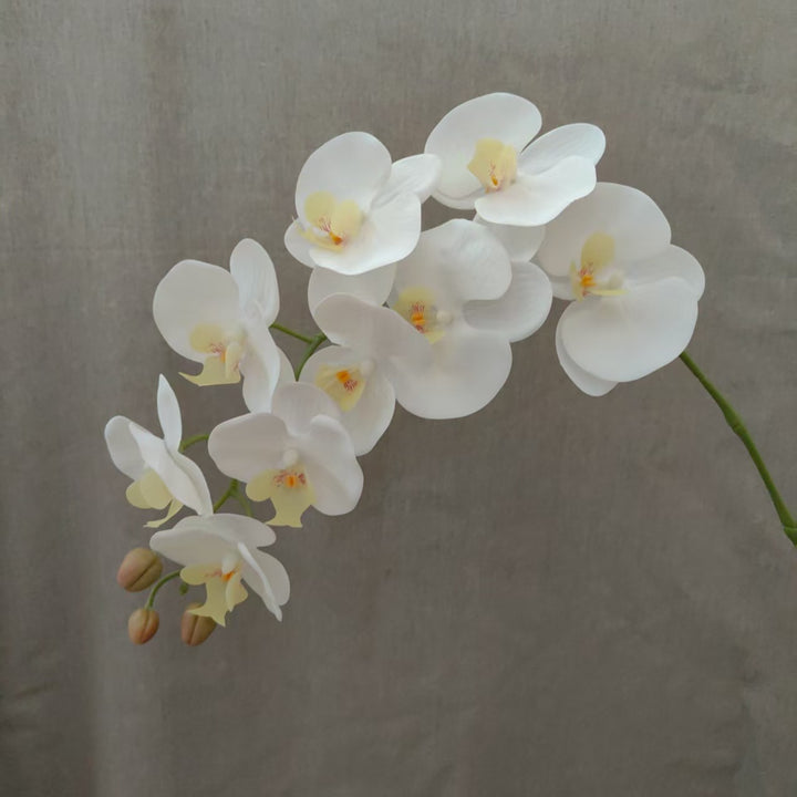 Lifelike Orchid Floral Stem