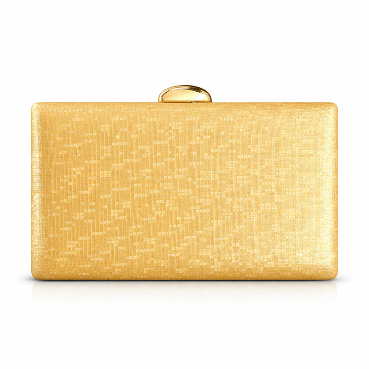 Elegant Evening Clutch