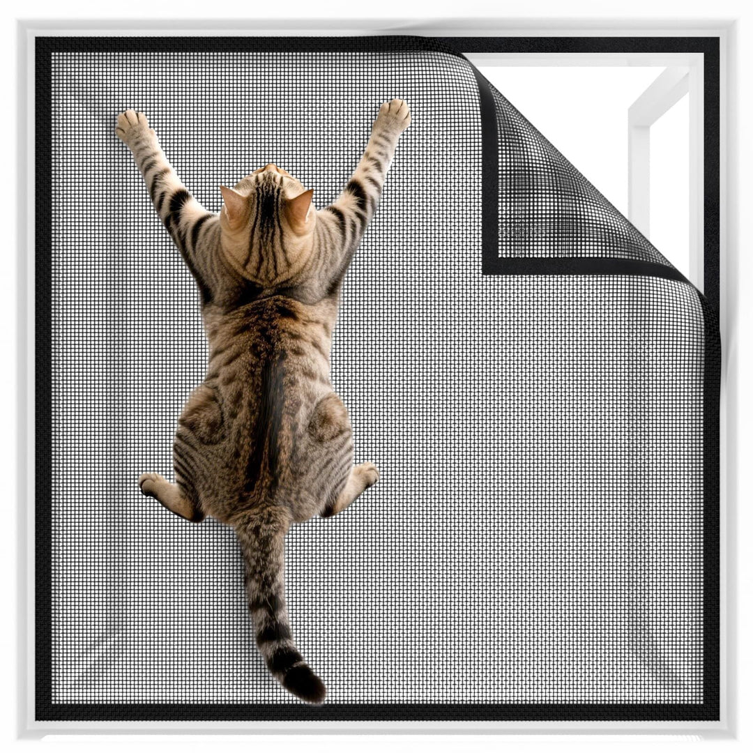 Cat Scratch Deterrent Window Screen Stornfield