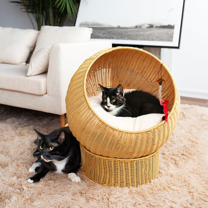 Natural fiber cat furniture Stornfield