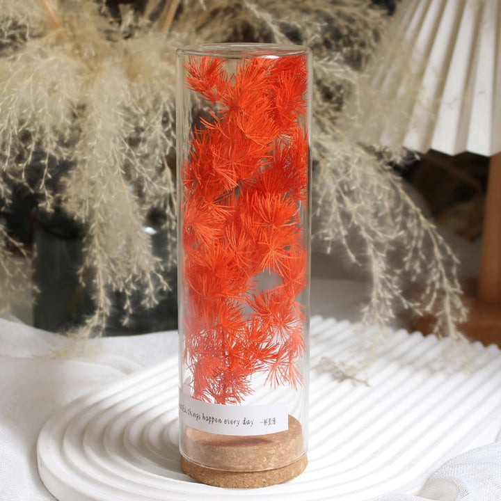 Preserved Flower Display in Elegant Glass Cylinder