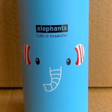 Insulated Stainless Steel Water Bottle Stornfield