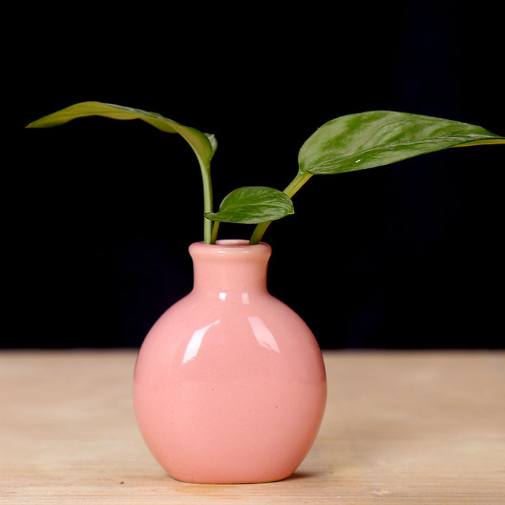 Miniature Ceramic Plant Holder Stornfeild