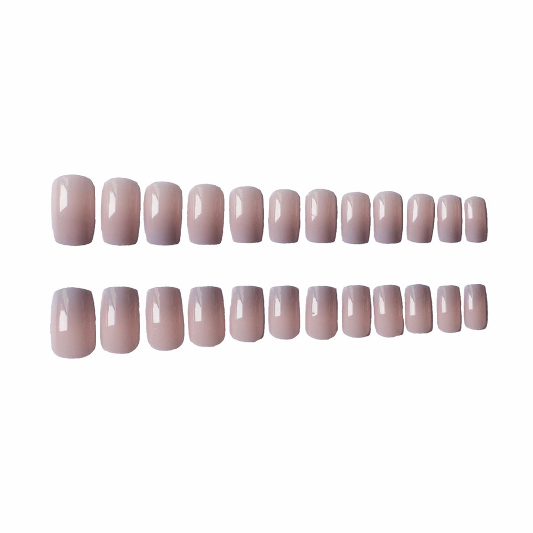 Elegant Ombre Gel Nail Art