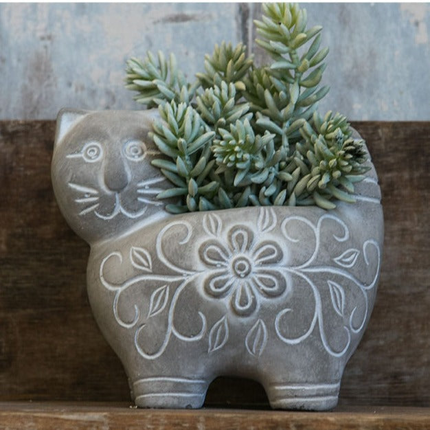 Decorative Plant Stornfield