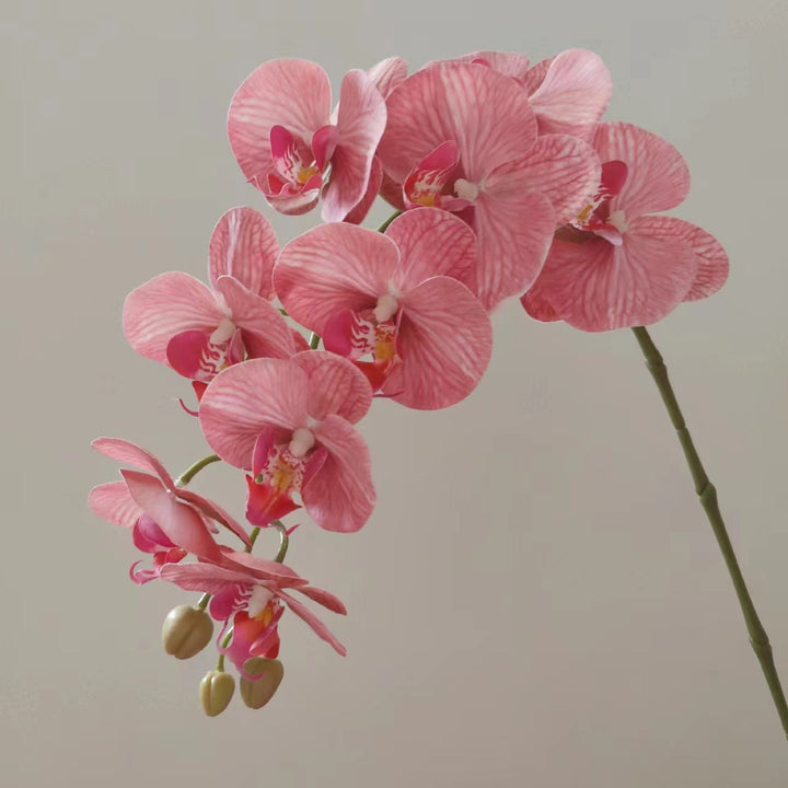 Lifelike Orchid Floral Stem