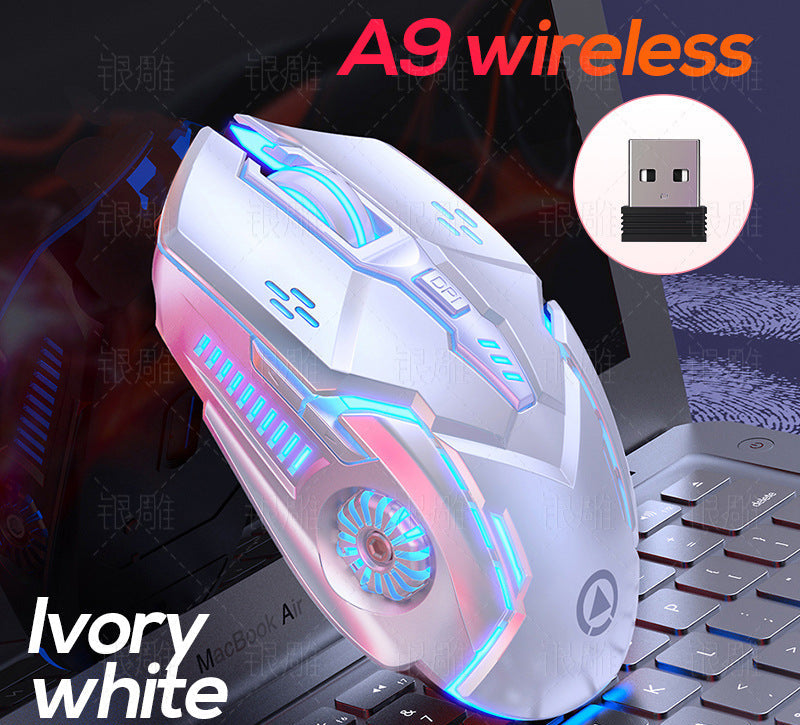 Wireless Gaming Mouse with RGB Lighting Stornfield