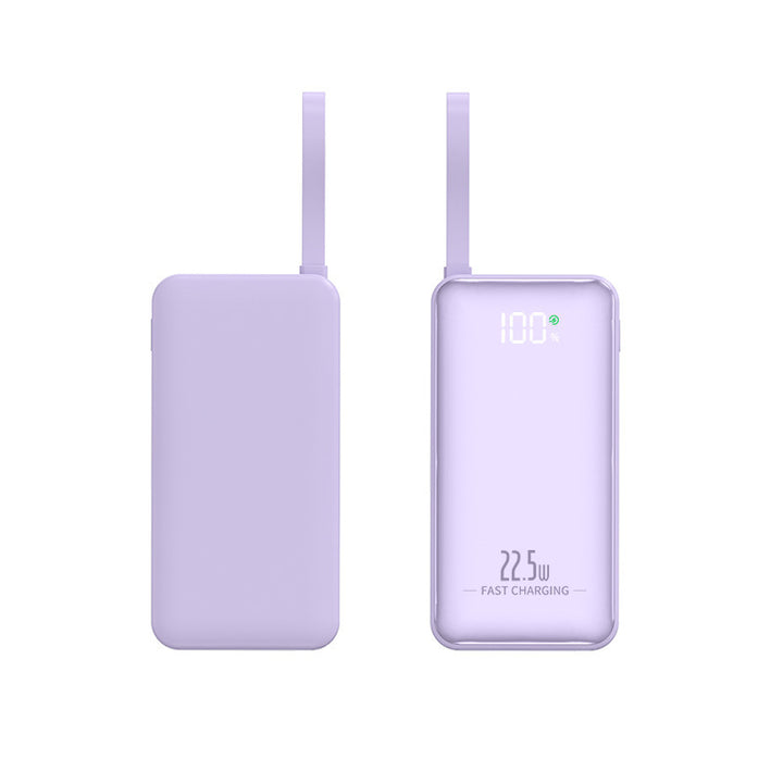 Portable power bank with smart charging function and LED charging display Stornfield