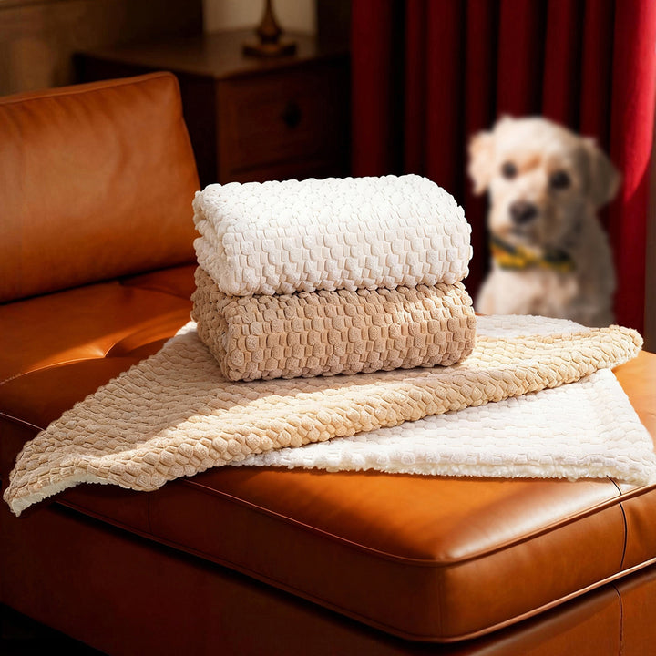 Women's Cozy and Reversible Blanket with High-Quality Surface Texture Stornfield