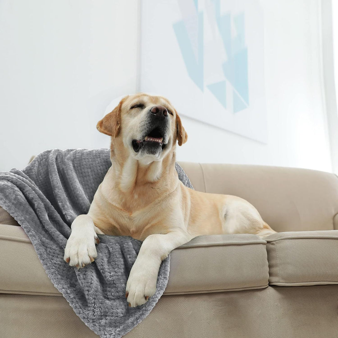 Ultra-Soft Plush Throw Blanket Stornfield