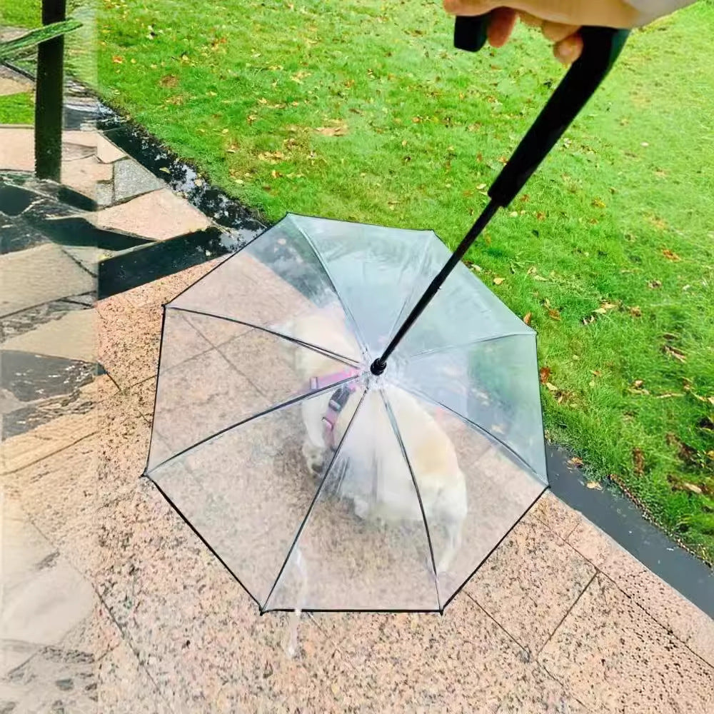 Women Transparent Rain Cape Stornfield