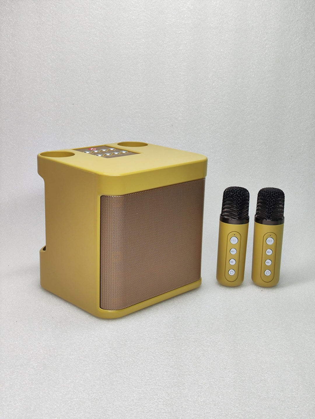 Portable Karaoke Speaker System Stornfield