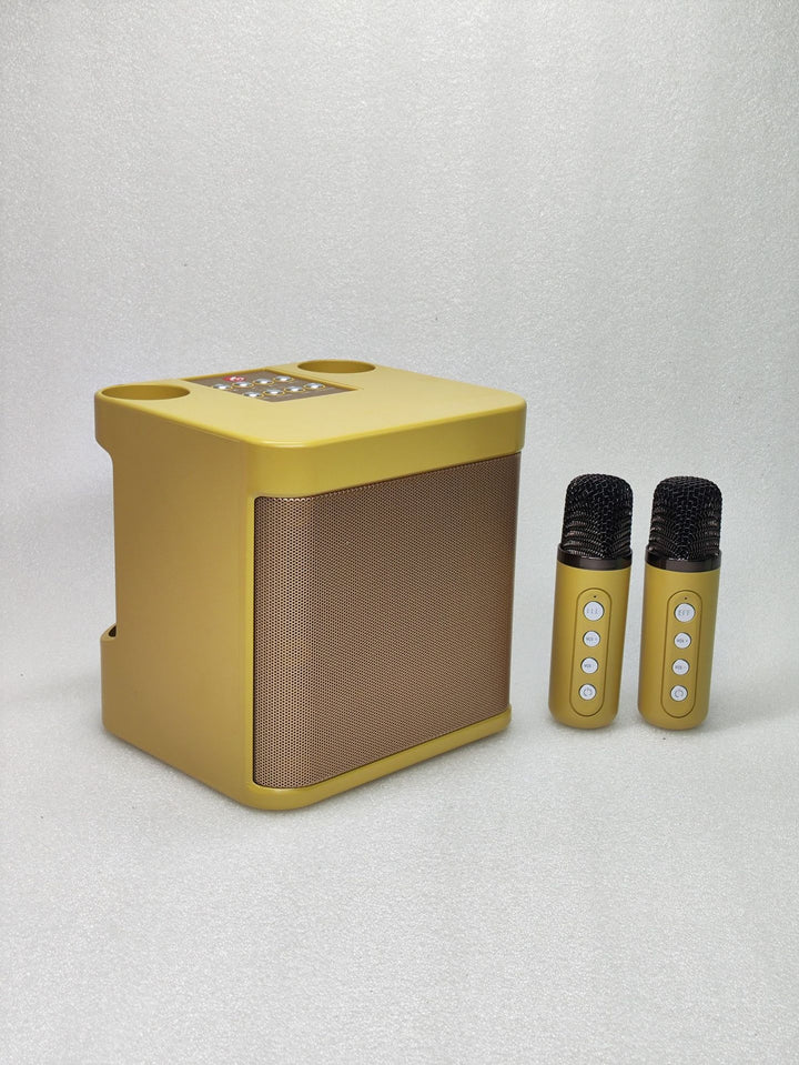 Portable Karaoke Speaker System Stornfield