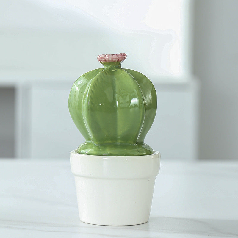 Decorative Ceramic Cactus Planter Stornfeild